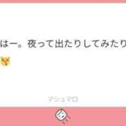 ヒメ日記 2026/01/24 09:15 投稿 もるもる The White