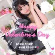 ヒメ日記 2026/01/30 15:40 投稿 もるもる The White