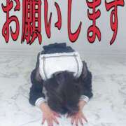 ヒメ日記 2026/02/03 16:19 投稿 もるもる The White