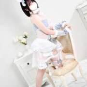 ヒメ日記 2026/02/05 20:02 投稿 もるもる The White