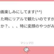 ヒメ日記 2026/02/09 20:03 投稿 もるもる The White