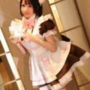 ヒメ日記 2026/02/12 20:15 投稿 もるもる The White