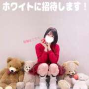 ヒメ日記 2026/02/14 15:31 投稿 もるもる The White