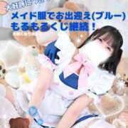 ヒメ日記 2026/03/05 14:31 投稿 もるもる The White