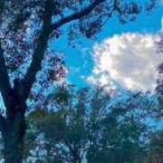 ヒメ日記 2025/12/19 17:02 投稿 リノ ドMな奥さん 日本橋店