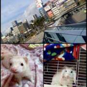 ヒメ日記 2025/12/31 16:57 投稿 黒島 AROMA VENUS