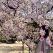 ヒメ日記 2026/04/08 09:46 投稿 叶みほこ 五十路マダム静岡店（カサブランカG）