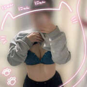 ヒメ日記 2026/03/17 21:19 投稿 ふゆね メイドde本舗