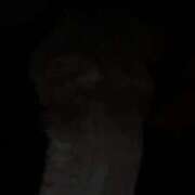 ヒメ日記 2025/12/12 21:29 投稿 藤宮-ふじみや- ただ離婚してないだけ堺東店