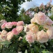 ヒメ日記 2025/12/16 16:01 投稿 谷口こころ グランエステ東京 品川（シンデレラグループ）