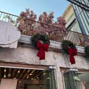 ヒメ日記 2026/02/08 16:45 投稿 谷口こころ グランエステ東京 品川（シンデレラグループ）