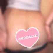 ヒメ日記 2025/12/14 11:51 投稿 舞りの しこたま奥様 横浜店