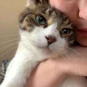 ヒメ日記 2026/03/18 18:02 投稿 舞りの しこたま奥様 横浜店