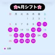 ヒメ日記 2026/04/08 01:52 投稿 舞りの しこたま奥様 横浜店