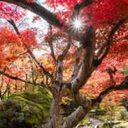 ヒメ日記 2025/11/27 18:52 投稿 さやか 奥様電車