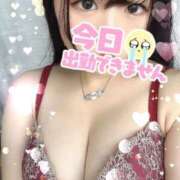 ヒメ日記 2025/12/17 15:44 投稿 しき 部活（ぶかつ）