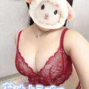 ヒメ日記 2026/01/26 07:44 投稿 しき 部活（ぶかつ）