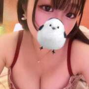 ヒメ日記 2026/02/11 12:34 投稿 しき 部活（ぶかつ）