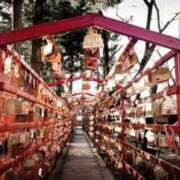 ヒメ日記 2026/01/01 23:37 投稿 つばき Lounge Yoki東京