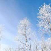 ヒメ日記 2026/02/07 10:17 投稿 つばき Lounge Yoki東京