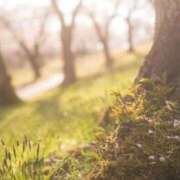 ヒメ日記 2026/02/28 14:52 投稿 つばき Lounge Yoki東京