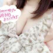 ヒメ日記 2025/12/11 12:15 投稿 かなの E+アイドルスクール新宿・歌舞伎町店