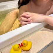 ヒメ日記 2025/12/06 14:48 投稿 音彩(とあ) 人妻城 横浜本店