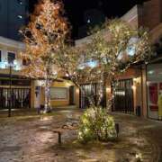 ヒメ日記 2025/12/11 17:26 投稿 音彩(とあ) 人妻城 横浜本店