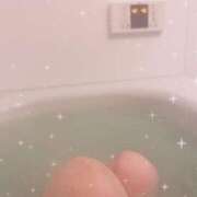 ヒメ日記 2025/11/29 17:41 投稿 せいら【刺激一つで即堕ち】 STELLA TOKYO－ステラトウキョウ－