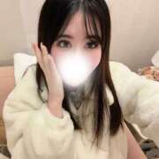 せいら【刺激一つで即堕ち】 朝５時まで🩵 STELLA TOKYO－ステラトウキョウ－