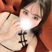 ヒメ日記 2025/12/17 17:12 投稿 せいら【刺激一つで即堕ち】 STELLA TOKYO－ステラトウキョウ－