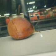 ヒメ日記 2026/02/28 17:27 投稿 ゆきの 上野人妻セレブリティ(ユメオト)