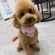 ヒメ日記 2026/03/15 09:16 投稿 香坂しおり おいしい奥様