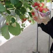 ヒメ日記 2026/02/02 10:28 投稿 ゆり マダムハンズ