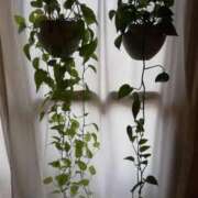 ヒメ日記 2025/12/07 11:15 投稿 あさがお 熟女家 京橋店