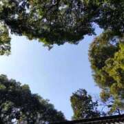 ヒメ日記 2025/12/07 14:26 投稿 あさがお 熟女家 京橋店