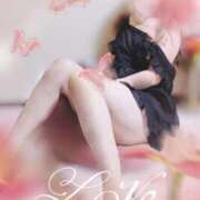 ヒメ日記 2025/12/04 23:51 投稿 きらら 熟女家 豊中蛍池店