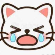 ヒメ日記 2025/12/13 02:08 投稿 きらら 熟女家 豊中蛍池店