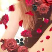 ヒメ日記 2025/12/24 23:57 投稿 きらら 熟女家 豊中蛍池店