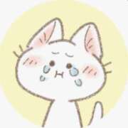 ヒメ日記 2026/03/06 05:06 投稿 きらら 熟女家 豊中蛍池店