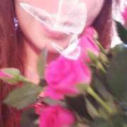 ヒメ日記 2026/03/12 07:05 投稿 きらら 熟女家 豊中蛍池店