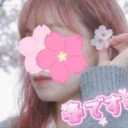 ヒメ日記 2026/03/18 05:09 投稿 きらら 熟女家 豊中蛍池店