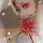 ヒメ日記 2026/03/31 19:15 投稿 きらら 熟女家 豊中蛍池店