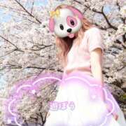 ヒメ日記 2026/04/04 17:14 投稿 きらら 熟女家 豊中蛍池店