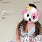 ヒメ日記 2026/04/24 15:36 投稿 きらら 熟女家 豊中蛍池店