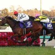 ヒメ日記 2025/12/04 12:00 投稿 ちなみ マリン千姫