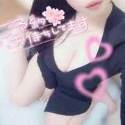 ヒメ日記 2026/04/11 12:03 投稿 さくらこ ミセスサマンサ