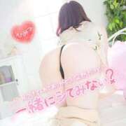 ヒメ日記 2026/04/11 22:28 投稿 さくらこ ミセスサマンサ