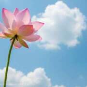 ヒメ日記 2026/03/05 17:59 投稿 らく・１１月２７日入店 みやこ