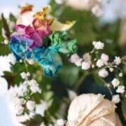 ヒメ日記 2026/01/25 00:31 投稿 さくら 木更津人妻花壇